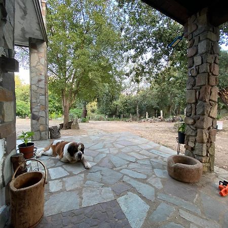 Agriturismo Pranu Sorgono Extérieur photo