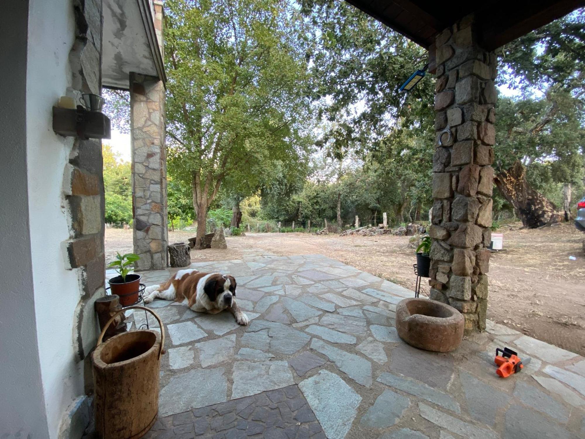 Agriturismo Pranu Sorgono Extérieur photo