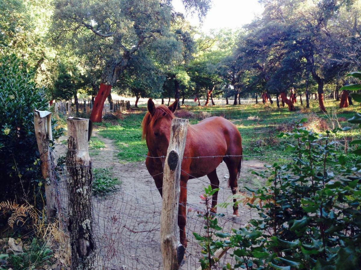 Agriturismo Pranu Sorgono Extérieur photo