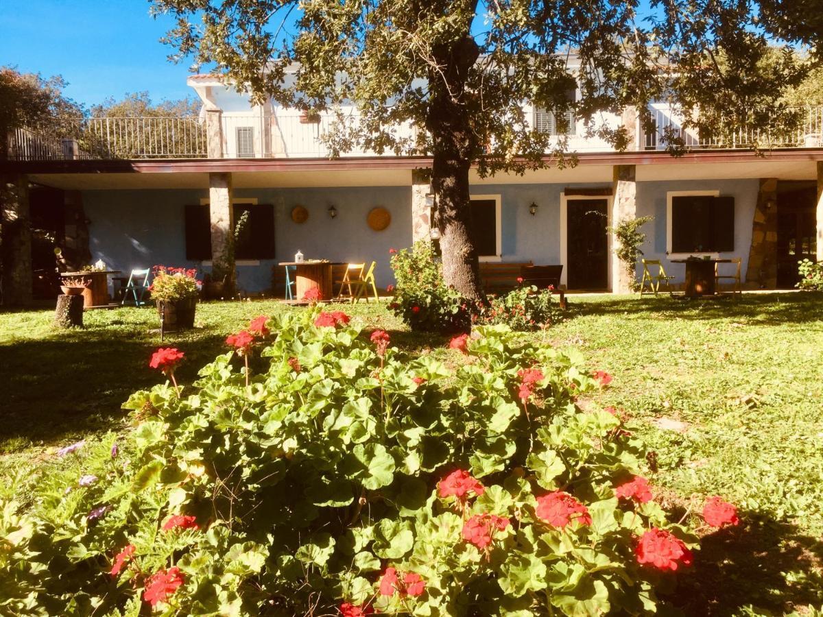 Agriturismo Pranu Sorgono Extérieur photo